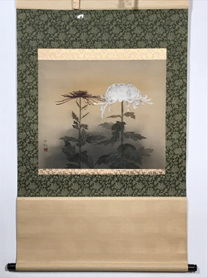 Japanese Boxed Hanging Scroll Vtg Chrysanthemum Kakejiku Chagake SC969