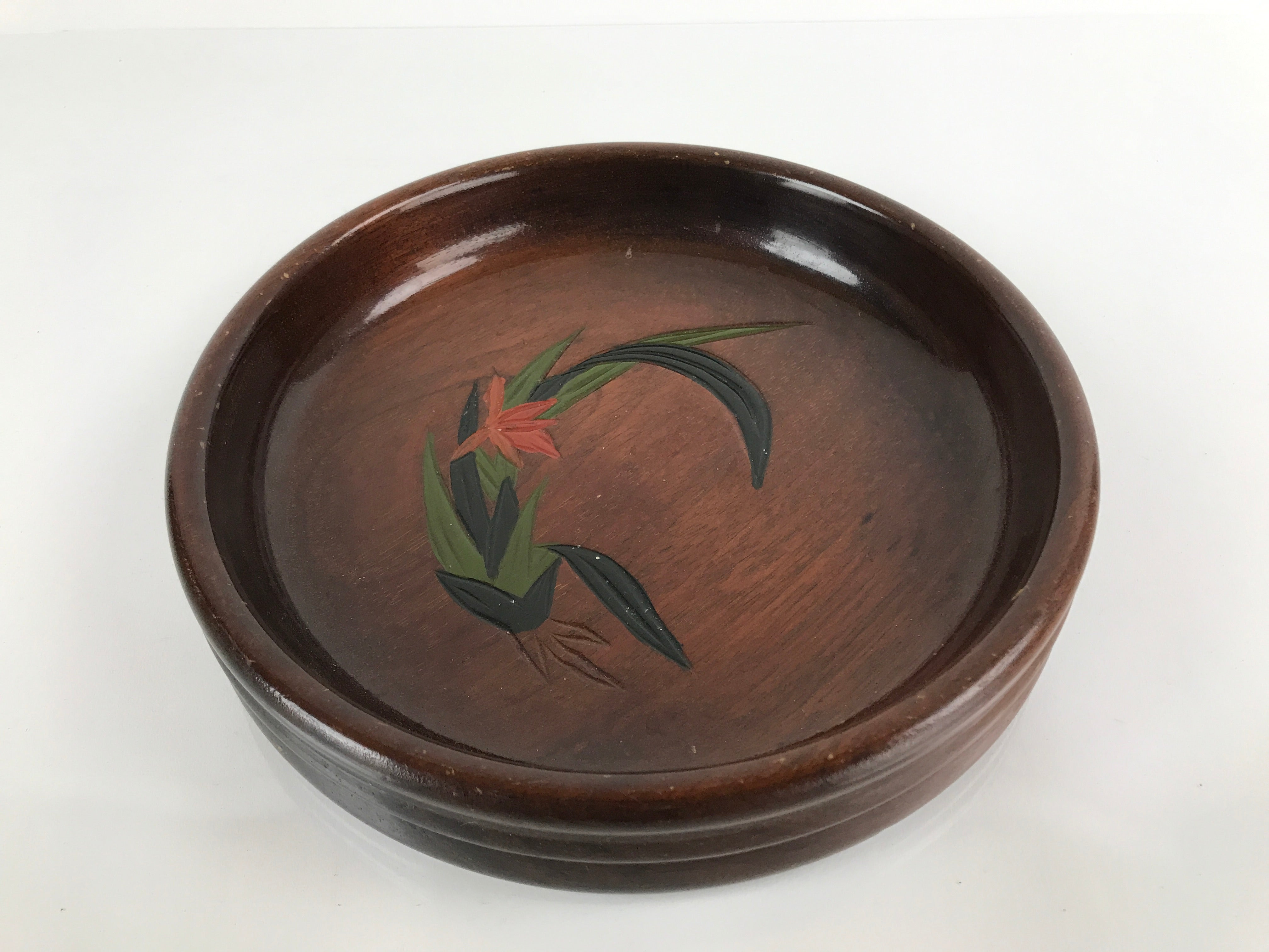 Japanese Brushed Lacquer Wooden Serving Tray Vtg Round Obon Plants Green L139
