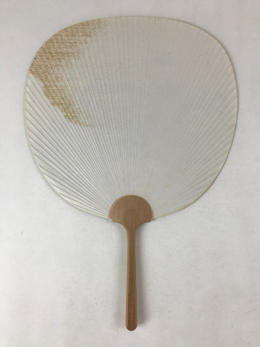 Japanese Paper Fan Uchiwa Vtg Issei Yamauchi Obara Washi Art Nemophila
