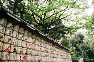 What are those sake barrels you see in Shinto Shrines in Japan?