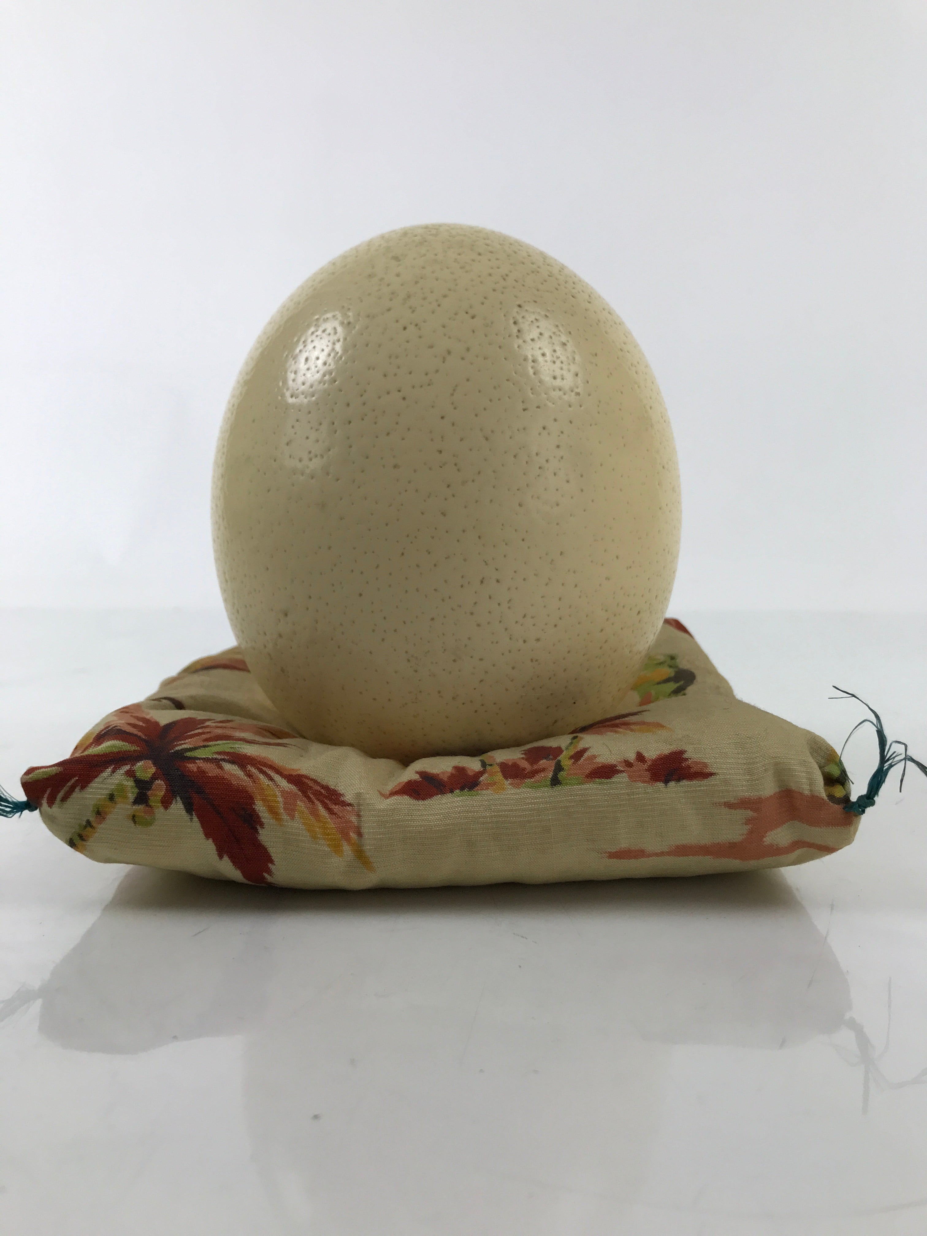 African Decorative Souvenir Ostrich Egg Shell Only Vtg Blank Surface Pillow ST12