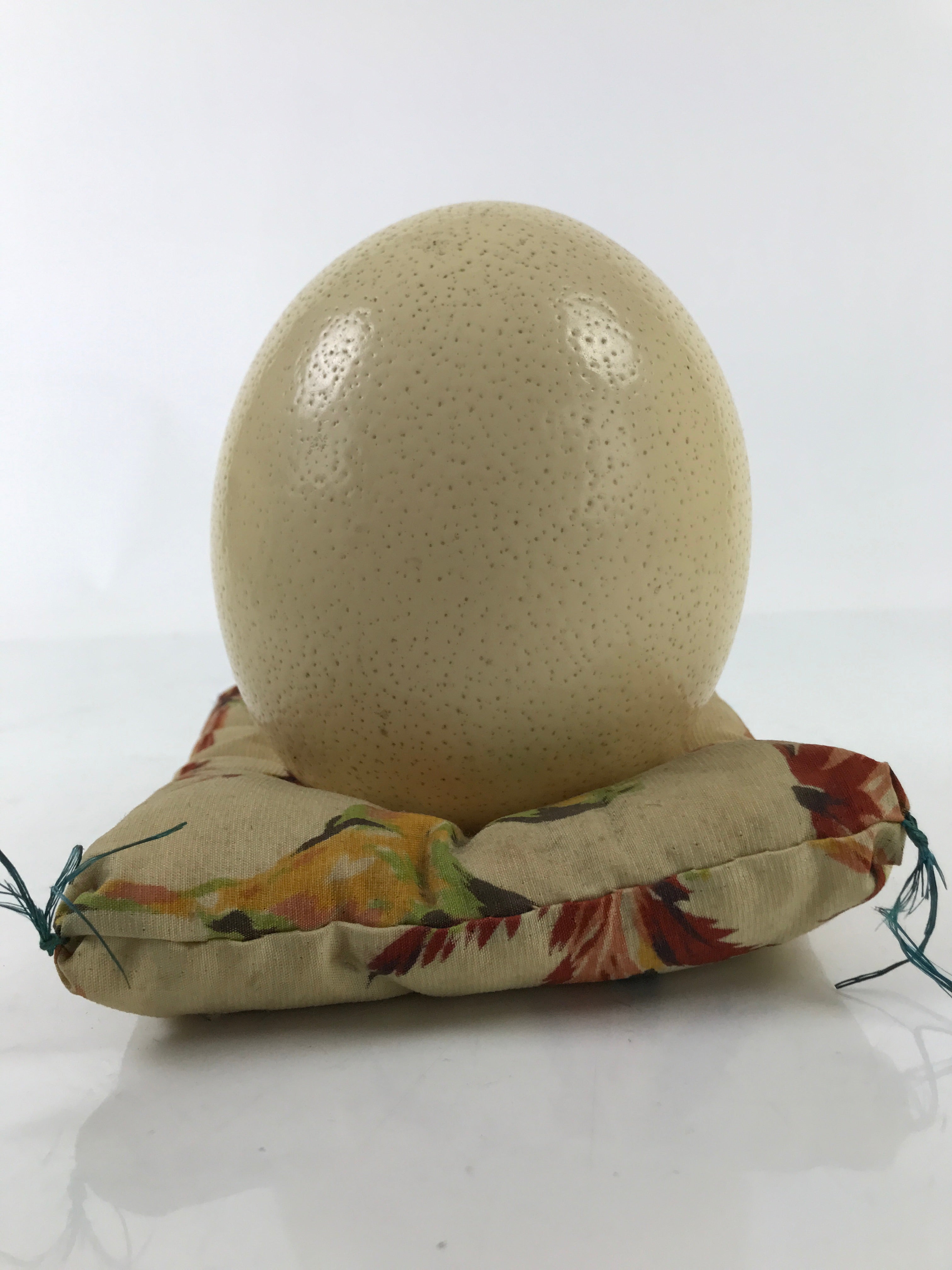 African Decorative Souvenir Ostrich Egg Shell Only Vtg Blank Surface Pillow ST12