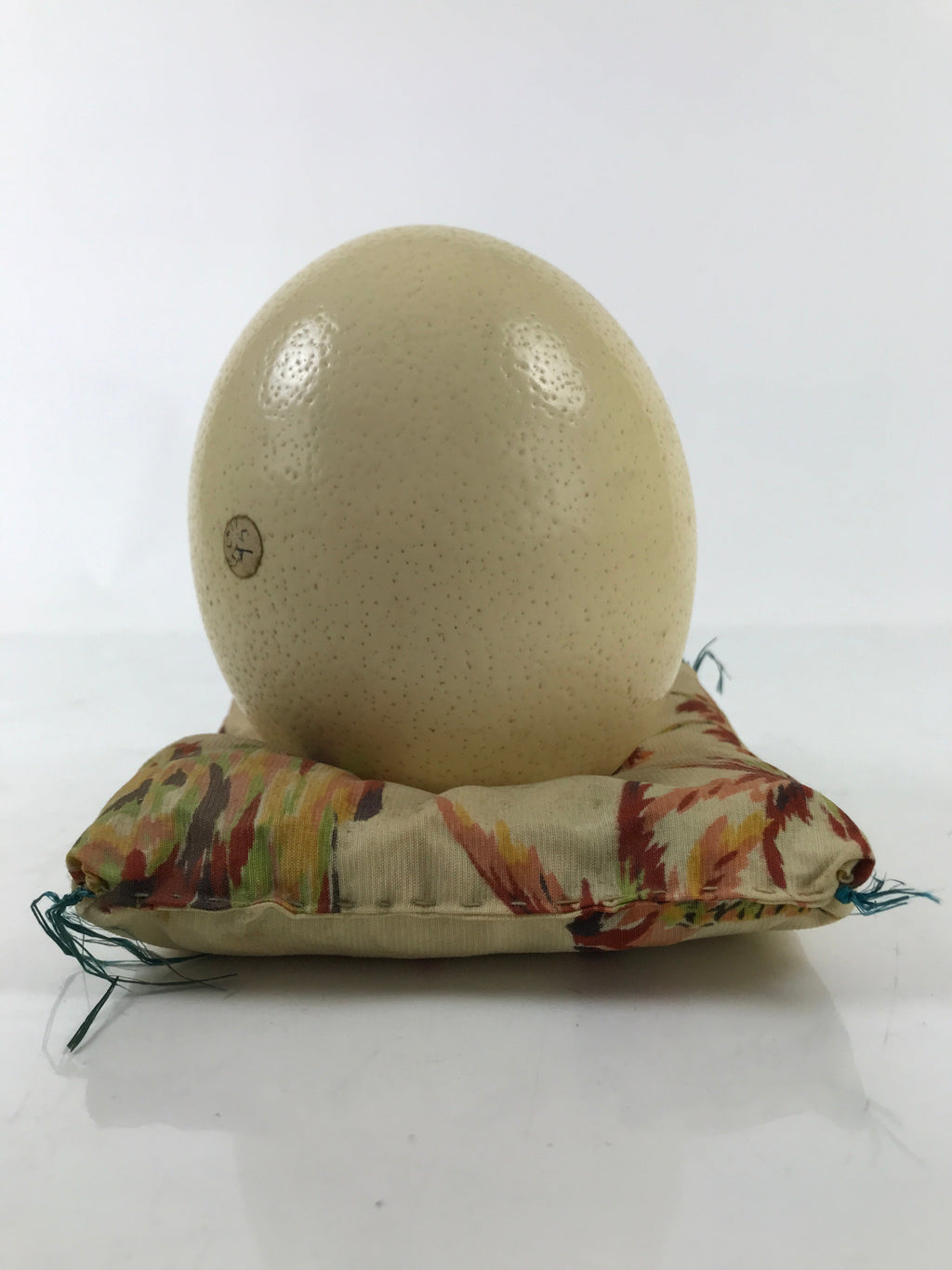African Decorative Souvenir Ostrich Eggshell Only Vtg Blank Surface Pillow ST12