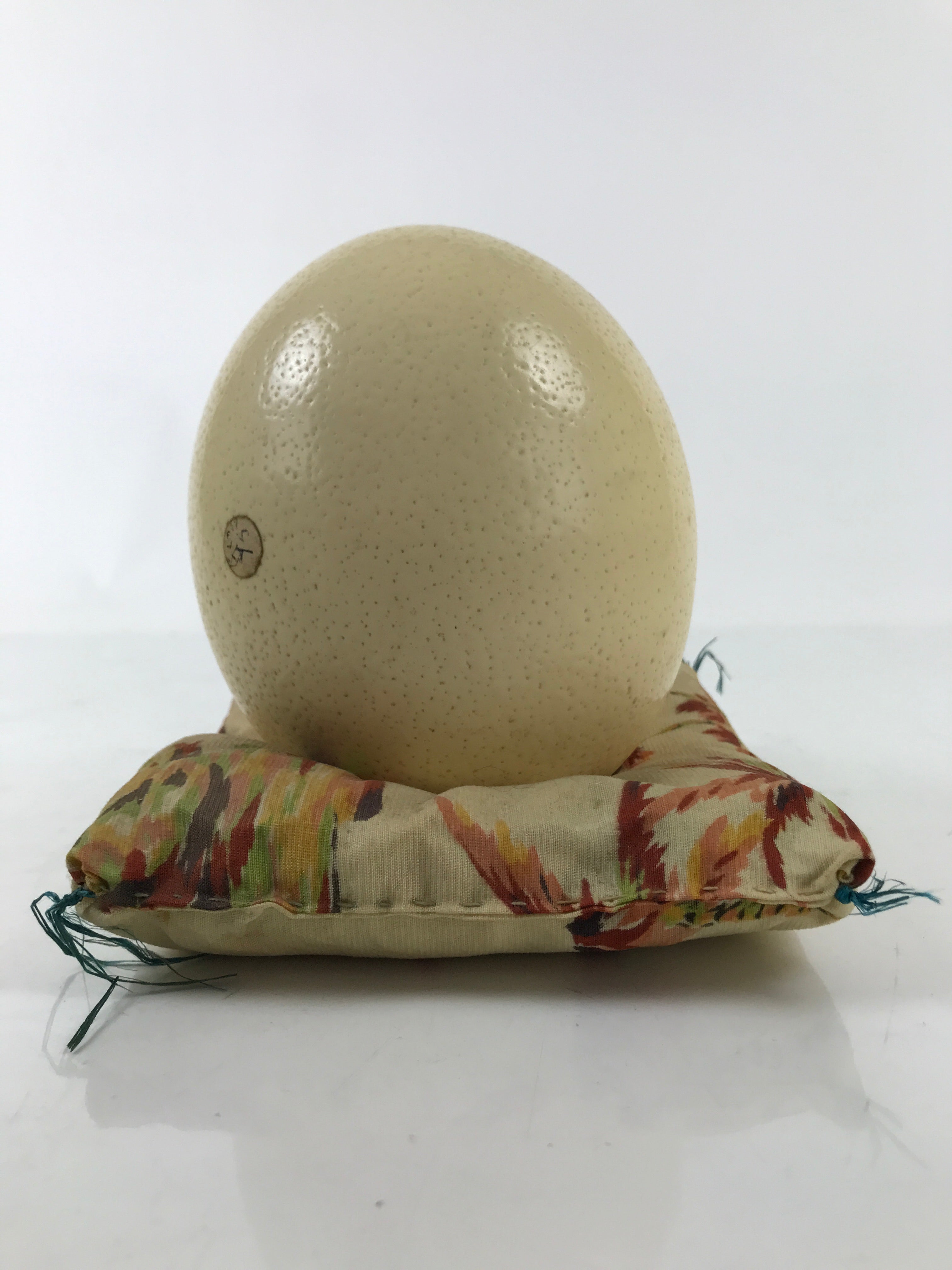 African Decorative Souvenir Ostrich Eggshell Only Vtg Blank Surface Pillow ST12