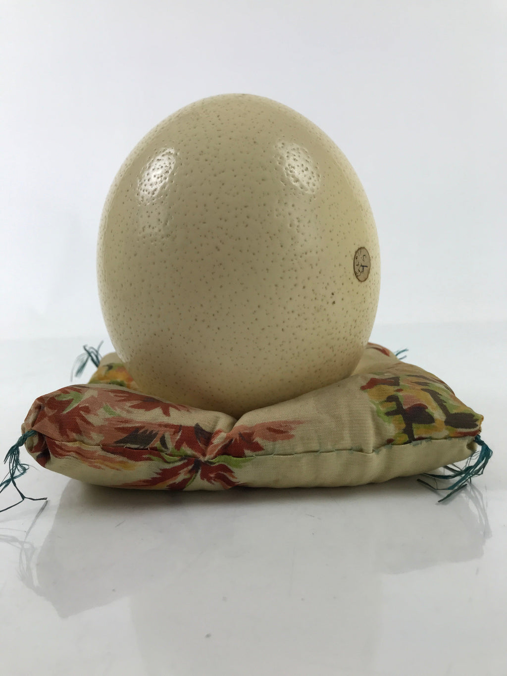 African Decorative Souvenir Ostrich Eggshell Only Vtg Blank Surface Pillow ST12