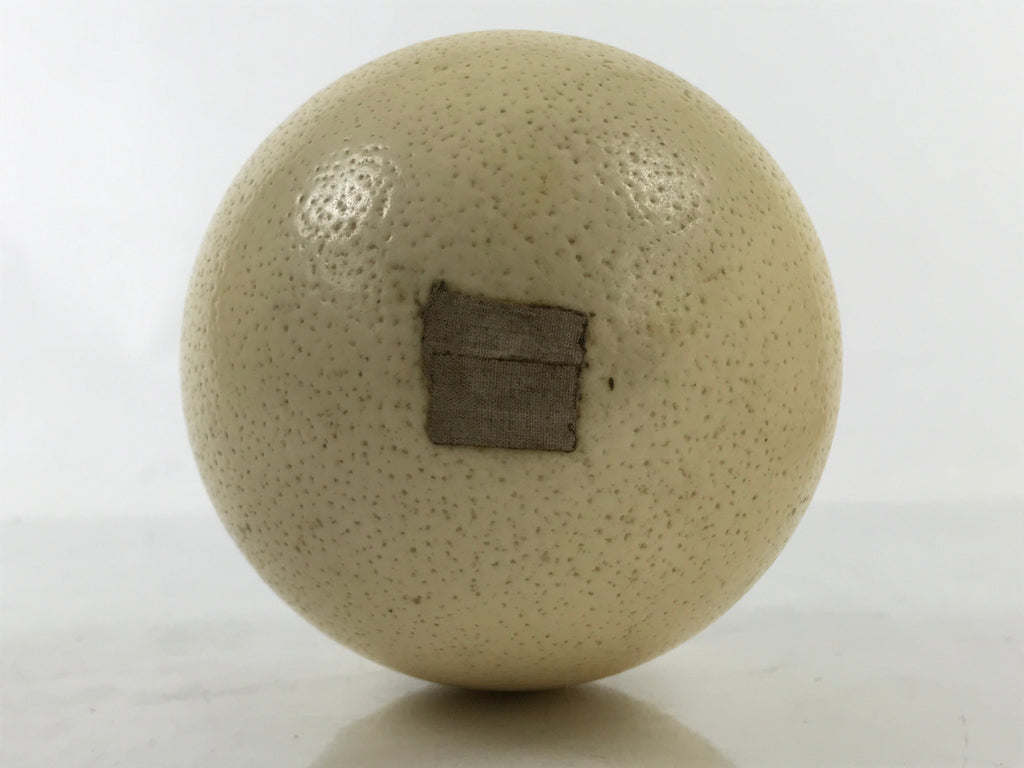 African Decorative Souvenir Ostrich Eggshell Only Vtg Blank Surface Pillow ST12