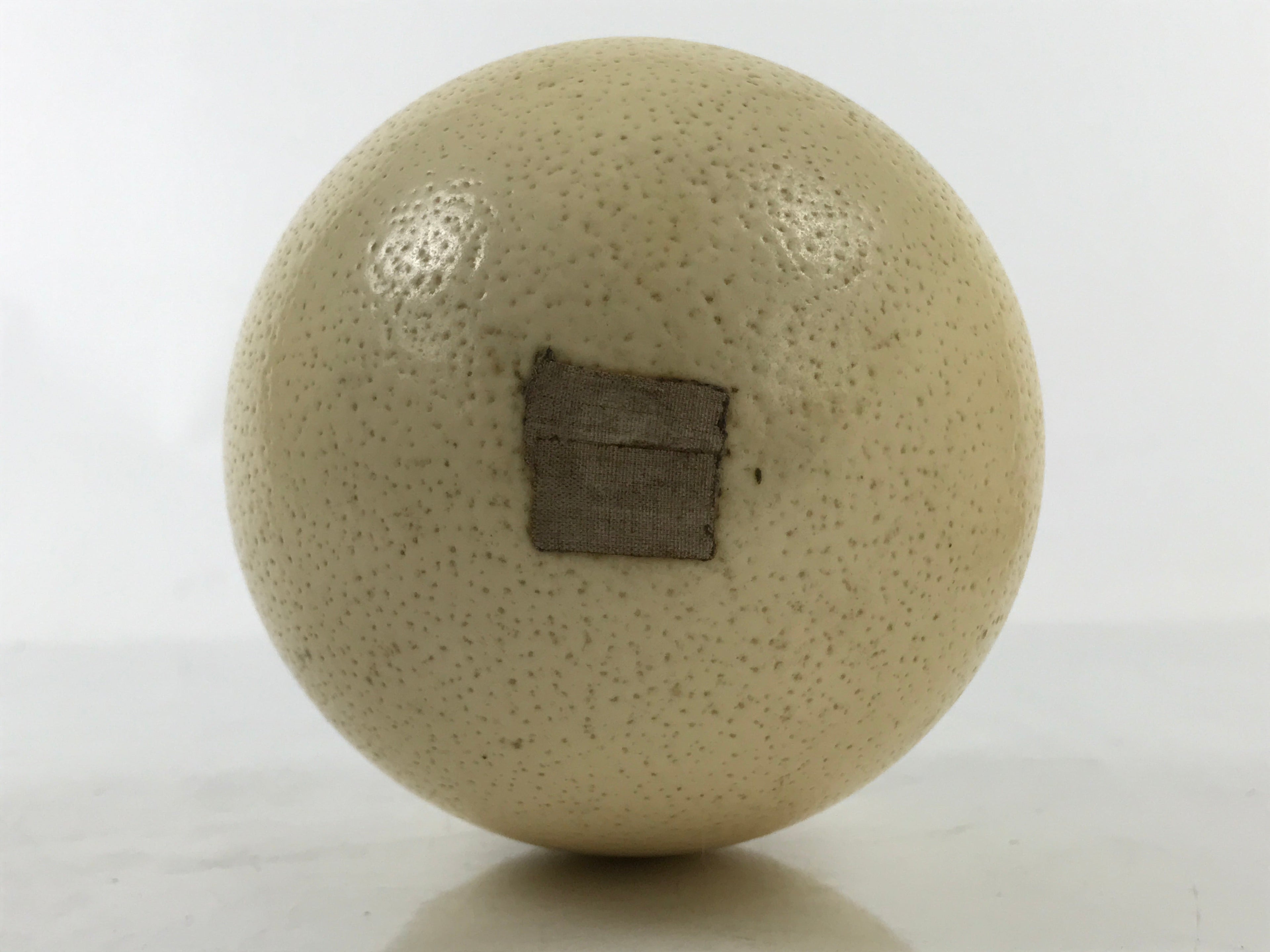 African Decorative Souvenir Ostrich Eggshell Only Vtg Blank Surface Pillow ST12