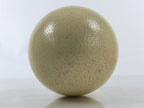 African Decorative Souvenir Ostrich Eggshell Only Vtg Blank Surface Pillow ST12