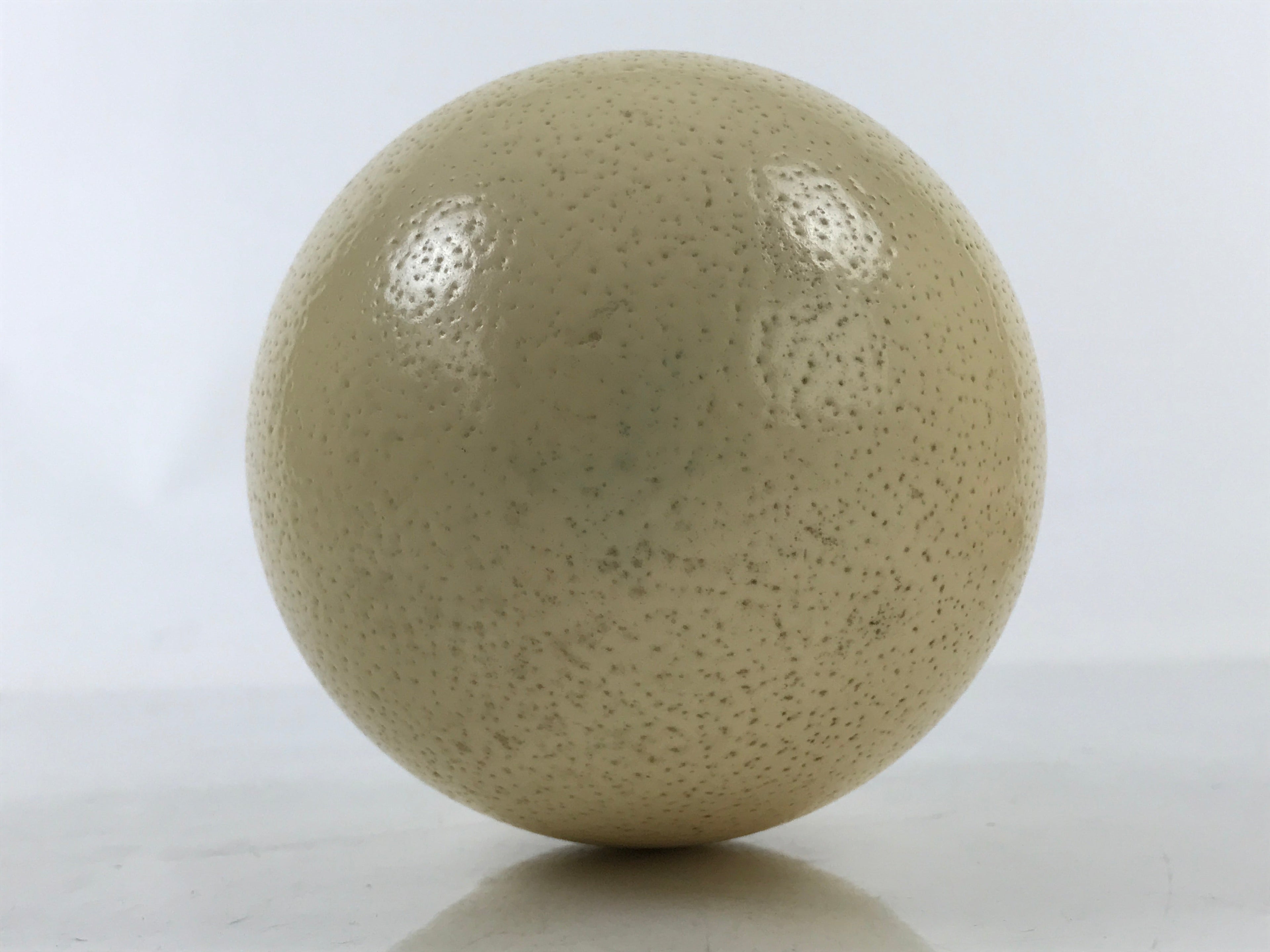 African Decorative Souvenir Ostrich Eggshell Only Vtg Blank Surface Pillow ST12