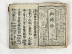 Antique Japanese Buddhist Sutra Book C1890 Meiji Shinran Godensho Red BA270