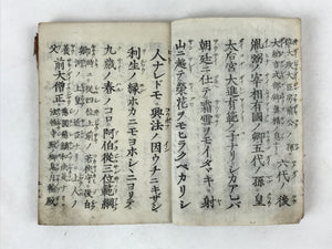 Antique Japanese Buddhist Sutra Book C1890 Meiji Shinran Godensho Red BA270