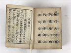 Antique Japanese Buddhist Sutra Book C1915 Shinshu Gowazan Paper Green BA177
