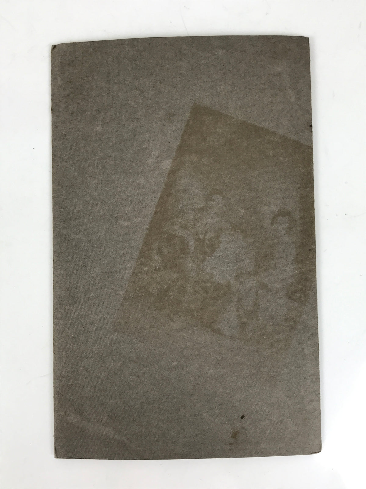 Antique Japanese C1919 Taisho Baby Photograph Newborn Portrait Sepia Tone PH25