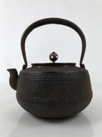 Antique Japanese Cast Iron Tetsubin Kettle Teapot Tea Ceremony Nanbu Tekki T121