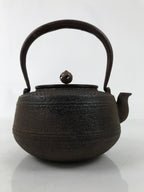 Antique Japanese Cast Iron Tetsubin Kettle Teapot Tea Ceremony Nanbu Tekki T121