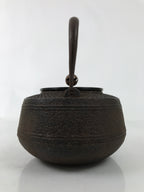 Antique Japanese Cast Iron Tetsubin Kettle Teapot Tea Ceremony Nanbu Tekki T121