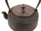 Antique Japanese Cast Iron Tetsubin Kettle Teapot Tea Ceremony Nanbu Tekki T121