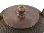 Antique Japanese Cast Iron Tetsubin Kettle Teapot Tea Ceremony Nanbu Tekki T121