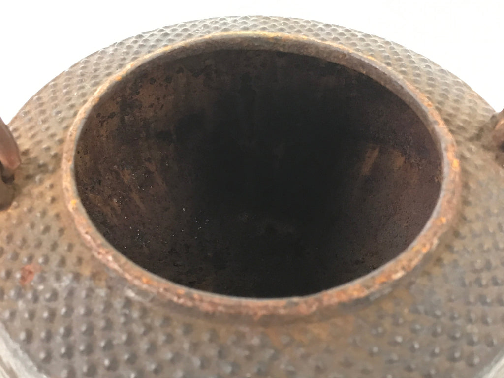 Antique Japanese Cast Iron Tetsubin Kettle Teapot Tea Ceremony Nanbu Tekki T121
