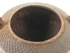 Antique Japanese Cast Iron Tetsubin Kettle Teapot Tea Ceremony Nanbu Tekki T121