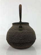 Antique Japanese Cast Iron Tetsubin Kettle Teapot Tea Ceremony Nanbu Tekki T122