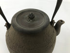 Antique Japanese Cast Iron Tetsubin Kettle Teapot Tea Ceremony Nanbu Tekki T122