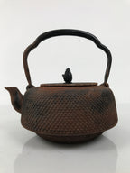 Antique Japanese Cast Iron Tetsubin Kettle Teapot Tea Ceremony Nanbu Tekki T170