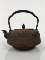Antique Japanese Cast Iron Tetsubin Kettle Teapot Tea Ceremony Nanbu Tekki T170