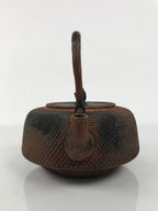 Antique Japanese Cast Iron Tetsubin Kettle Teapot Tea Ceremony Nanbu Tekki T170