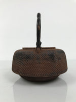 Antique Japanese Cast Iron Tetsubin Kettle Teapot Tea Ceremony Nanbu Tekki T170