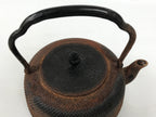 Antique Japanese Cast Iron Tetsubin Kettle Teapot Tea Ceremony Nanbu Tekki T170