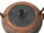 Antique Japanese Cast Iron Tetsubin Kettle Teapot Tea Ceremony Nanbu Tekki T170