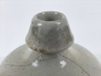 Antique Japanese Ceramic Sake Bottle Kayoi-Tokkuri Black Gray Tsurukame TS880
