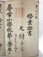 Antique Japanese Elementary School Grade Completion Certificate C1906 Paper P411
