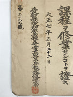 Antique Japanese Elementary School Grade Completion Certificate C1918 Paper P401