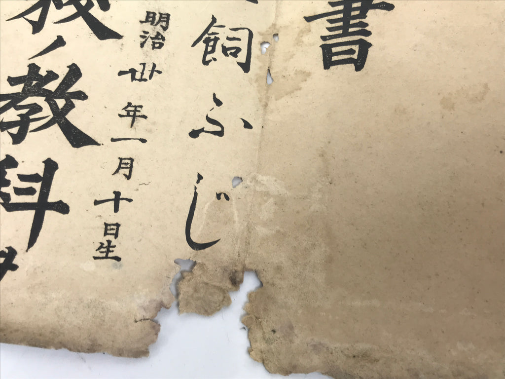 Antique Japanese Graduation Certificate C1907 Meiji Elementary School Paper P400