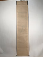 Antique Japanese Hanging Scroll Kakejiku Bird Muku Tree Fruit Red Leaves KJ192