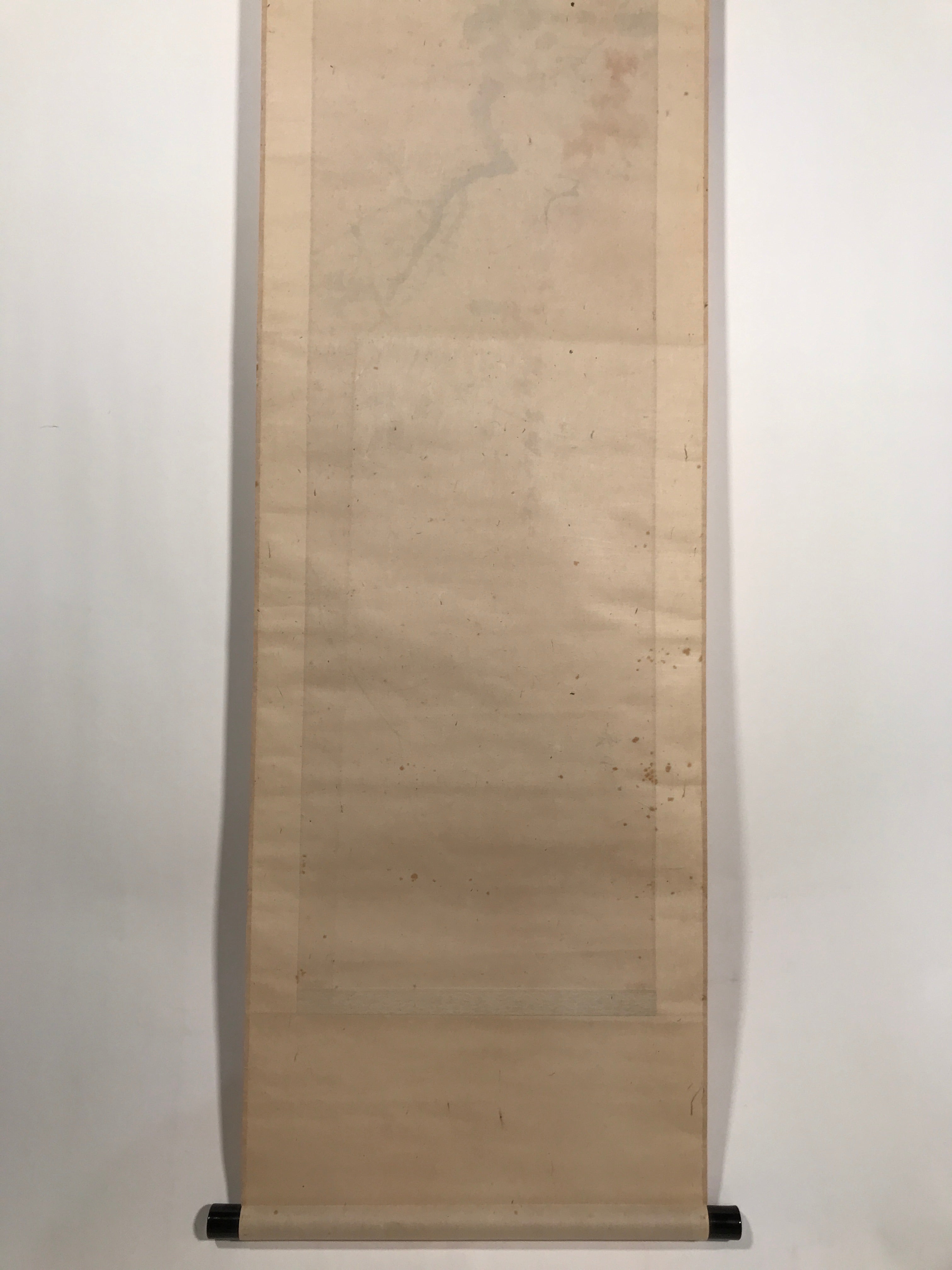 Antique Japanese Hanging Scroll Kakejiku Bird Muku Tree Fruit Red Leaves KJ192