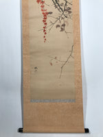 Antique Japanese Hanging Scroll Kakejiku Bird Muku Tree Fruit Red Leaves KJ192