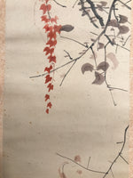 Antique Japanese Hanging Scroll Kakejiku Bird Muku Tree Fruit Red Leaves KJ192