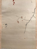 Antique Japanese Hanging Scroll Kakejiku Bird Muku Tree Fruit Red Leaves KJ192