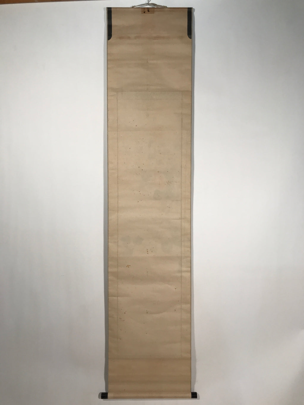 Antique Japanese Hanging Scroll Kakejiku Camellia Flower Winter Black Red KJ188