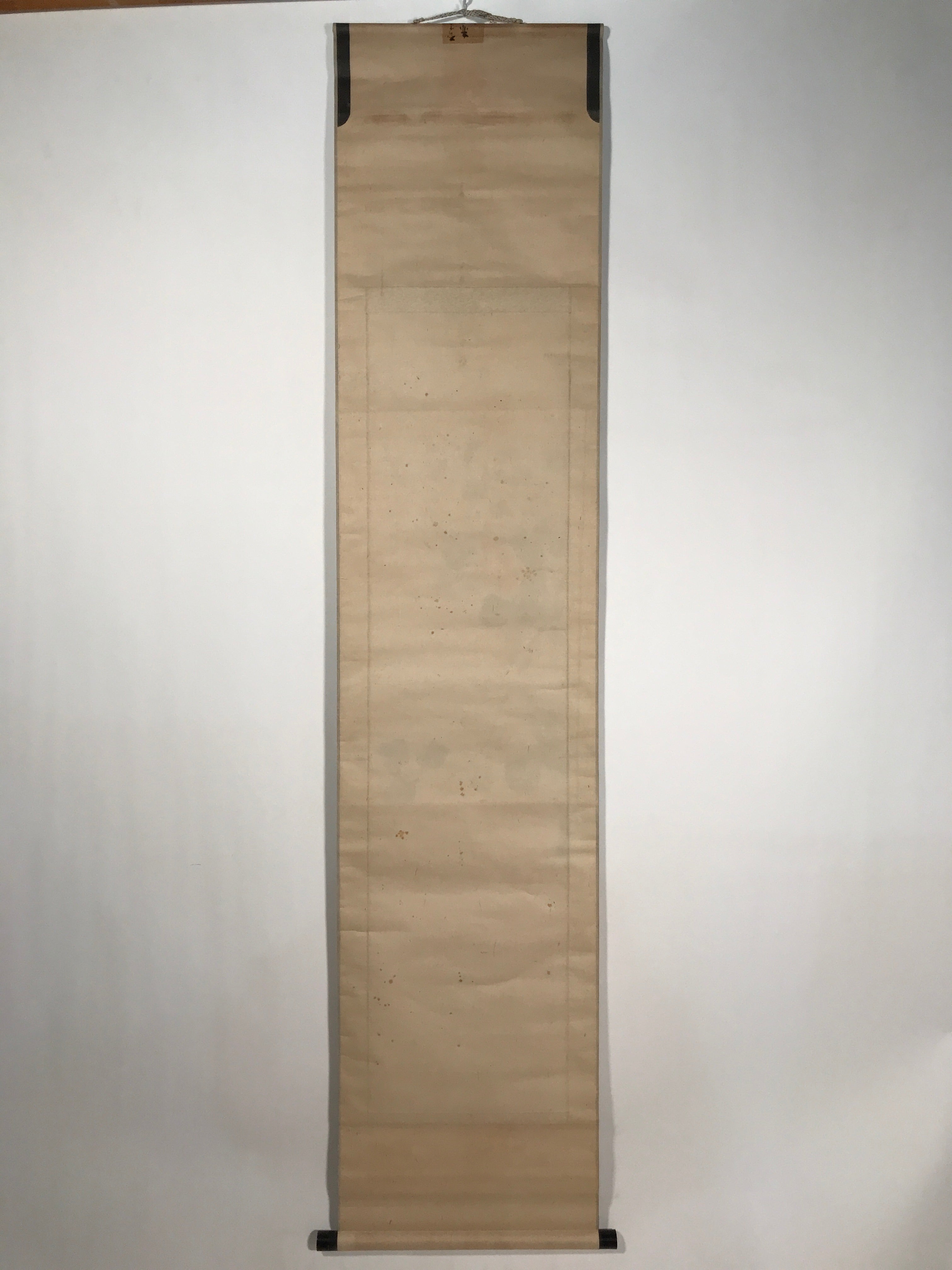 Antique Japanese Hanging Scroll Kakejiku Camellia Flower Winter Black Red KJ188