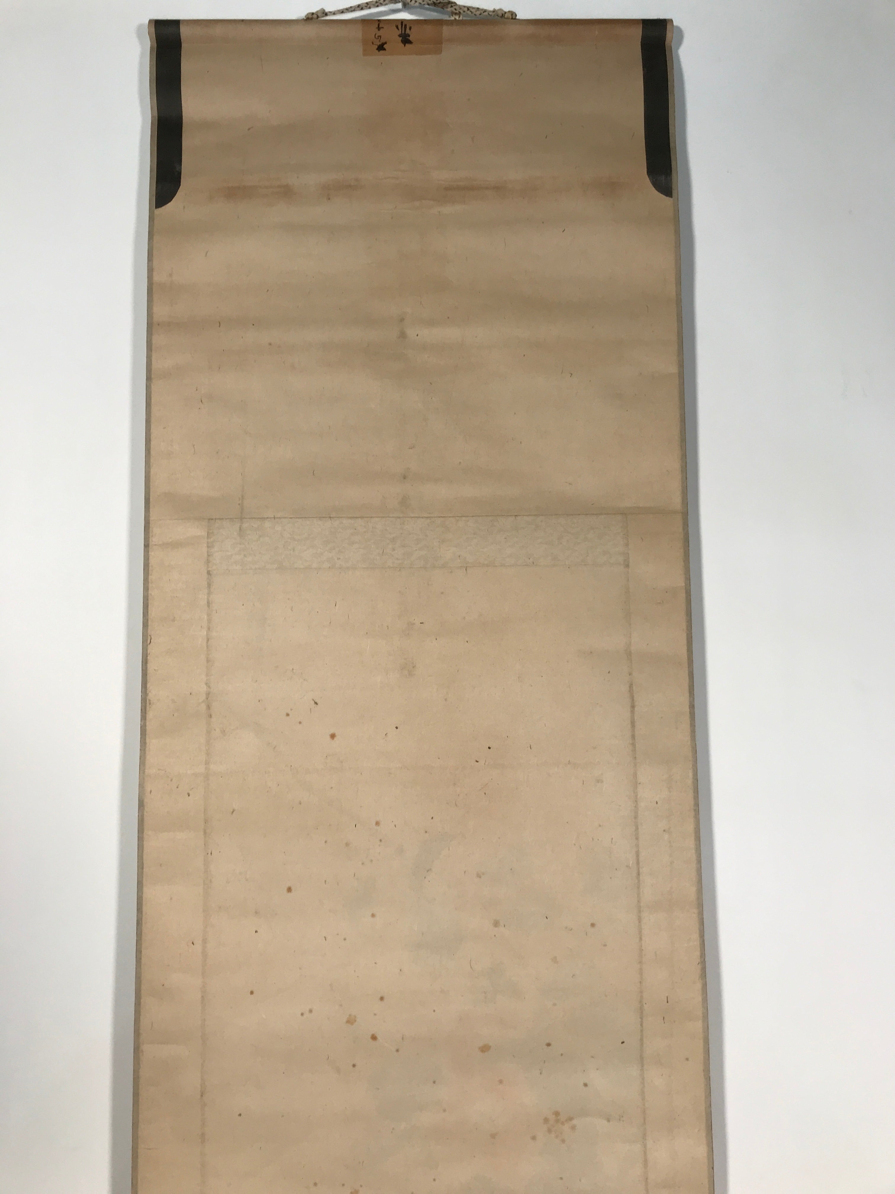 Antique Japanese Hanging Scroll Kakejiku Camellia Flower Winter Black Red KJ188