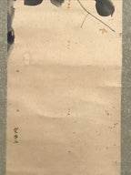 Antique Japanese Hanging Scroll Kakejiku Camellia Flower Winter Black Red KJ188