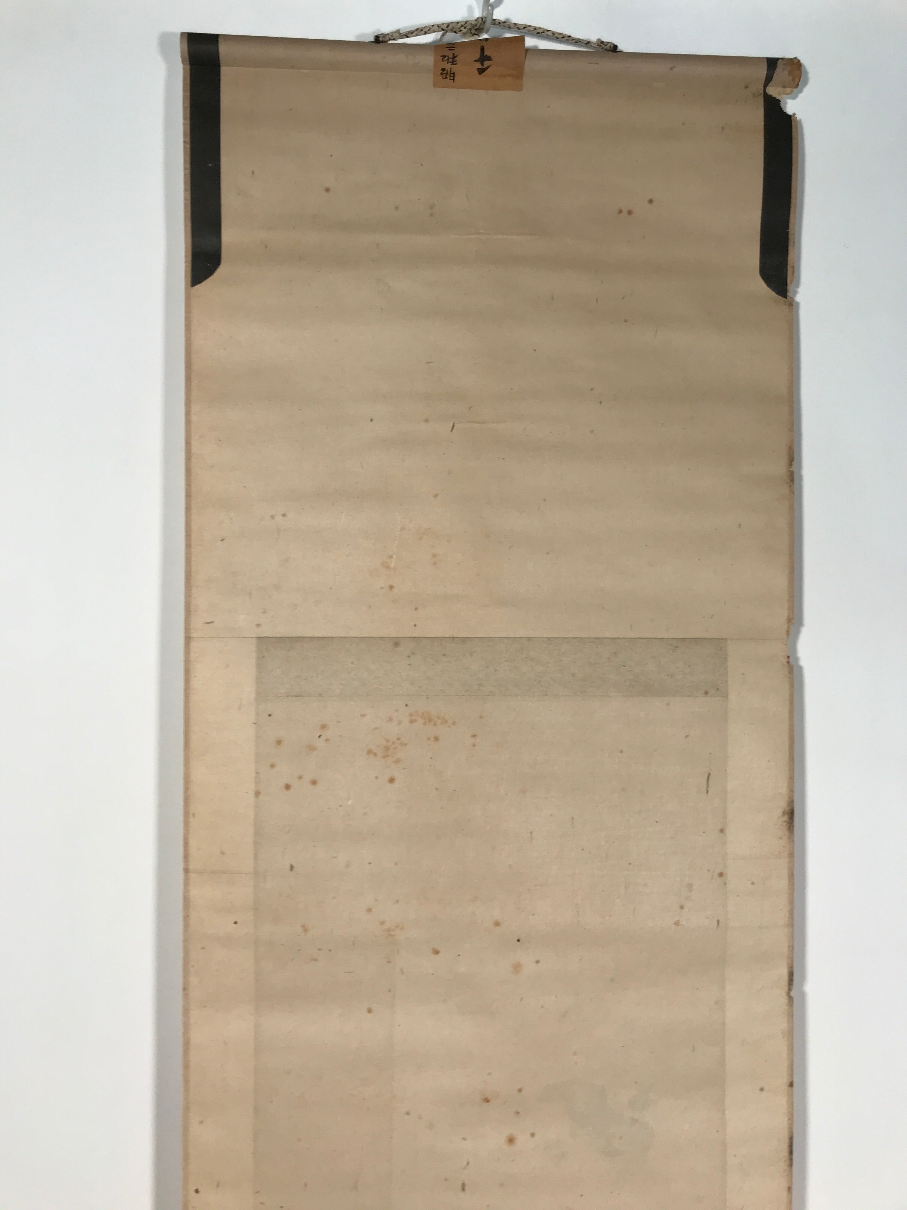 Antique Japanese Hanging Scroll Kakejiku Flying Bird Plover Fall Color KJ190
