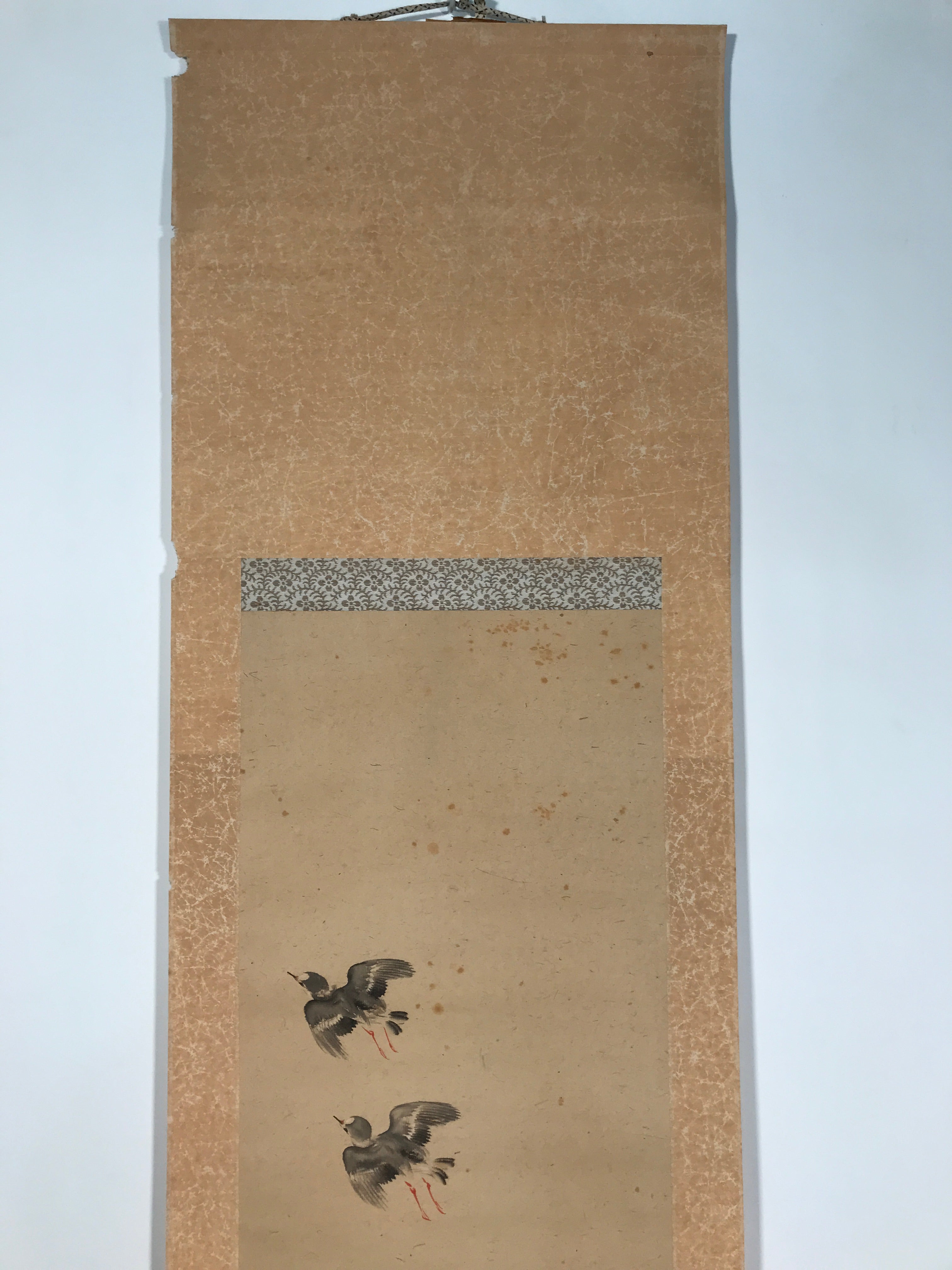 Antique Japanese Hanging Scroll Kakejiku Flying Bird Plover Fall Color KJ190