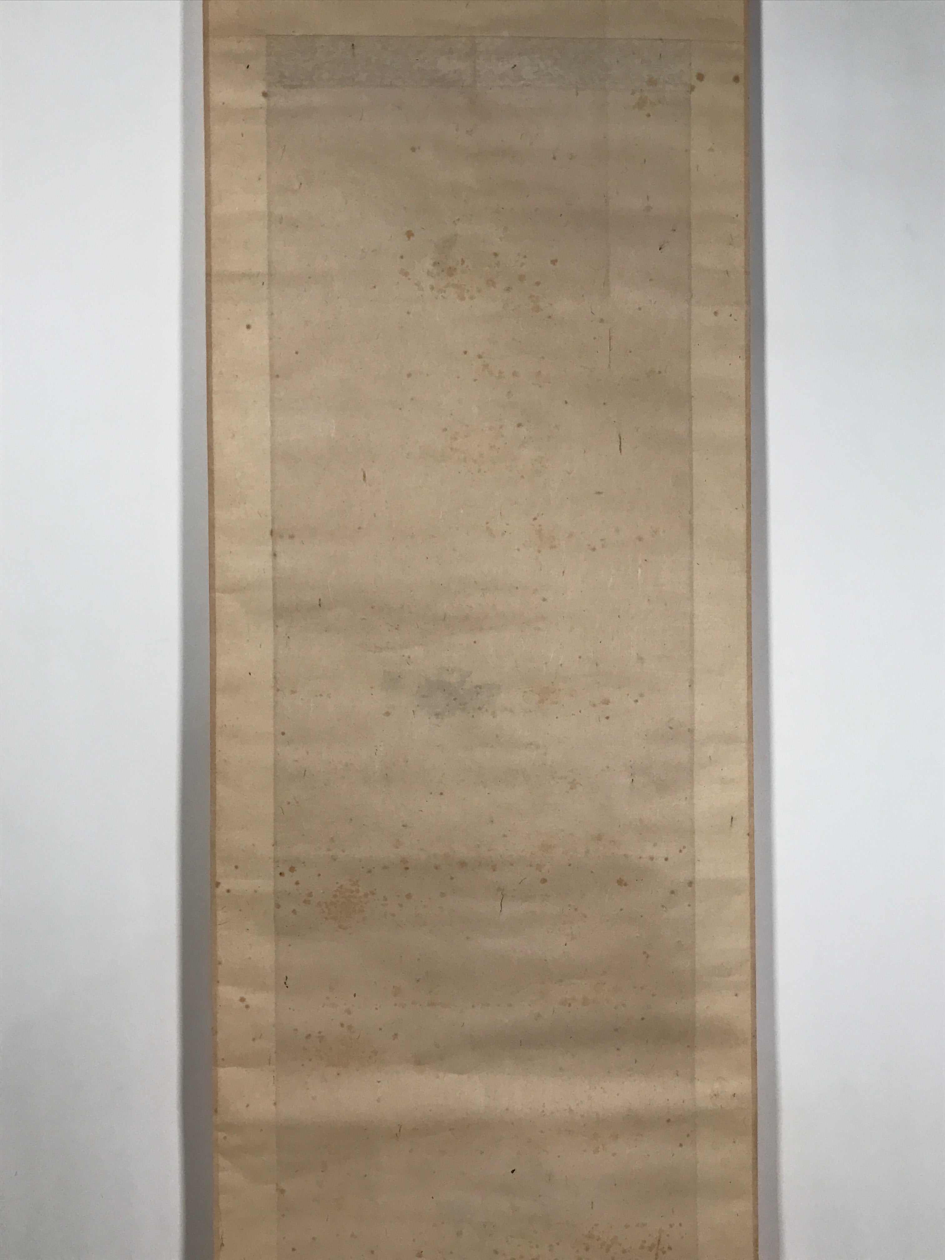 Antique Japanese Hanging Scroll Kakejiku Leopard Plant Bird Green Yellow KJ189