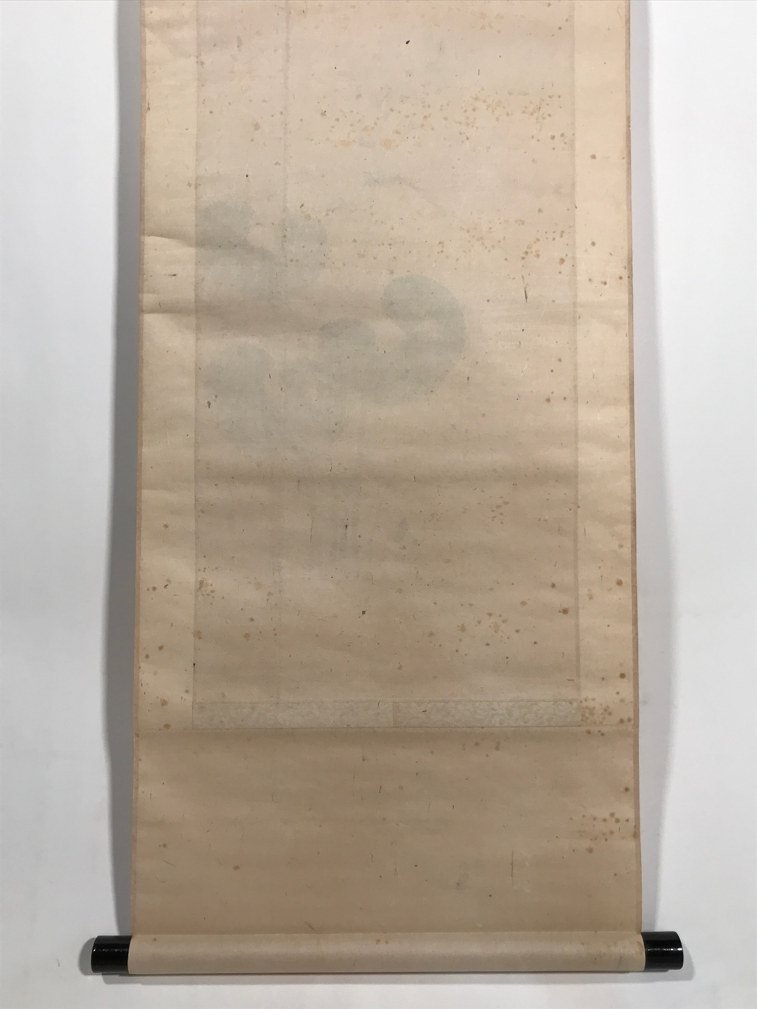 Antique Japanese Hanging Scroll Kakejiku Leopard Plant Bird Green Yellow KJ189