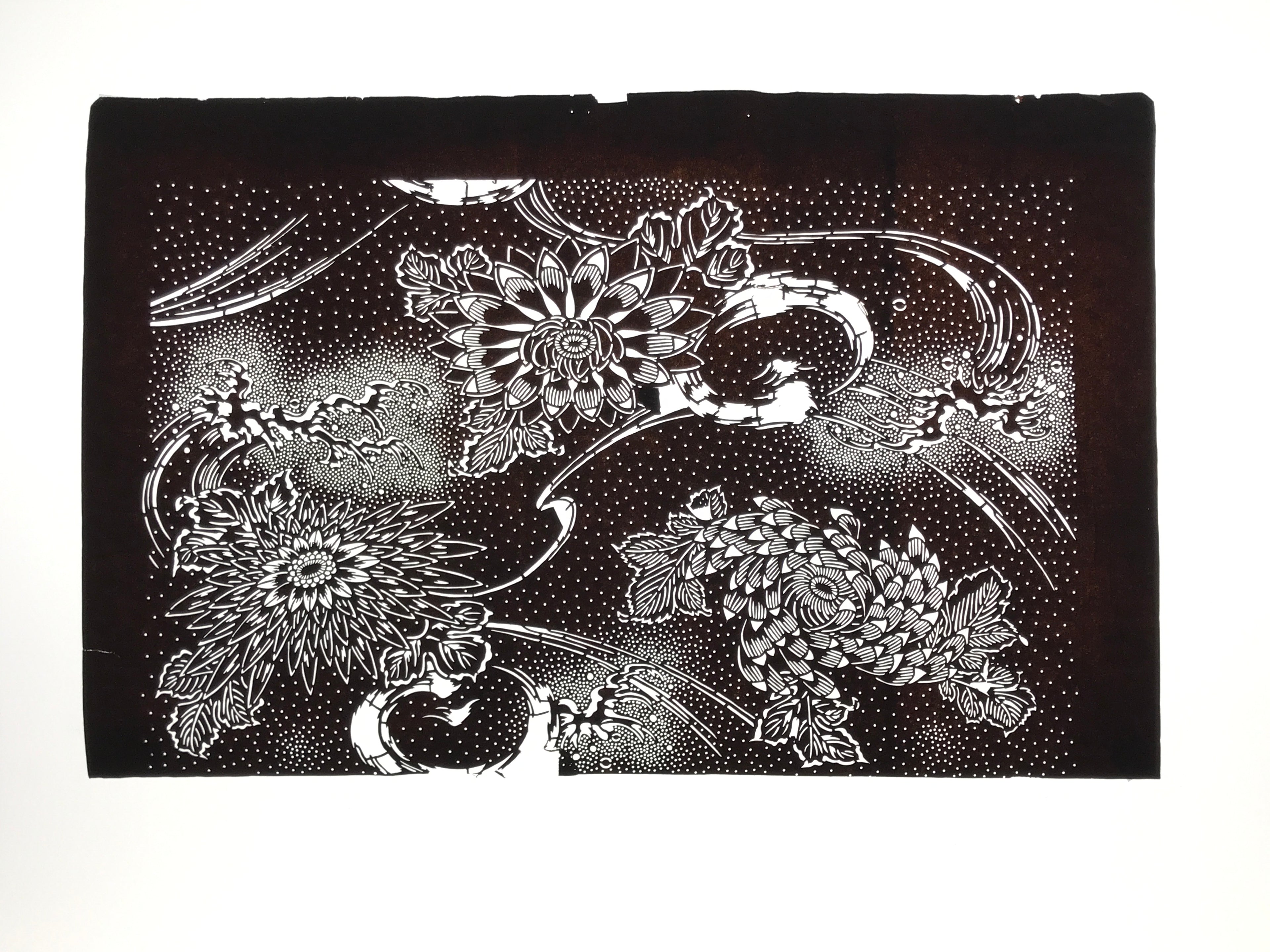 Antique Japanese Ise Katagami Paper Kimono Stencil Katazome Chrysanthemums A829